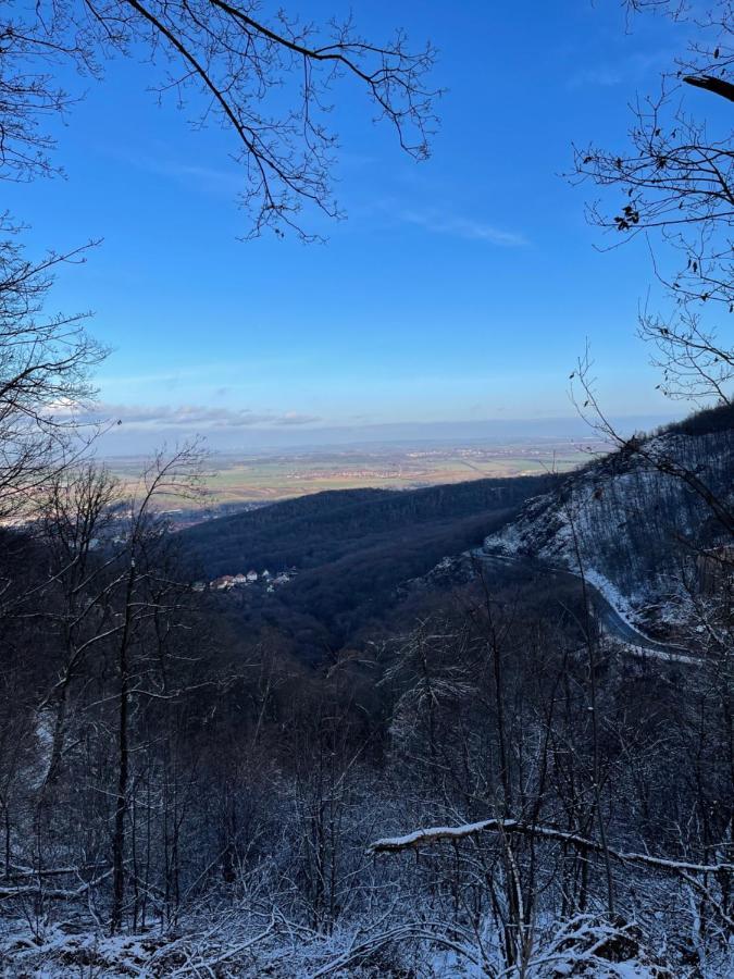 Wanderer Unterkunft Am Hexentanzplatz O Thale Zewnętrze zdjęcie